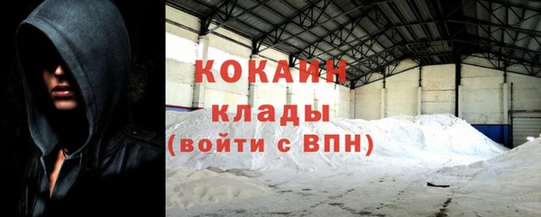 хмурый Арсеньев