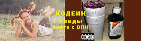 хмурый Арсеньев