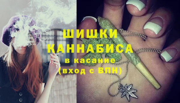 хмурый Арсеньев