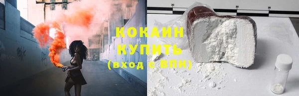 хмурый Арсеньев