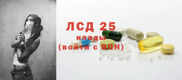 хмурый Арсеньев