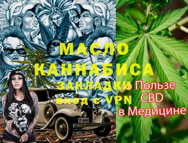 хмурый Арсеньев