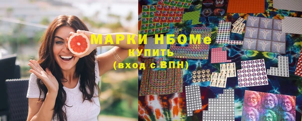 хмурый Арсеньев