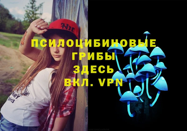 хмурый Арсеньев