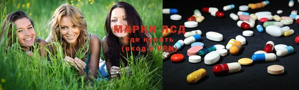 хмурый Арсеньев