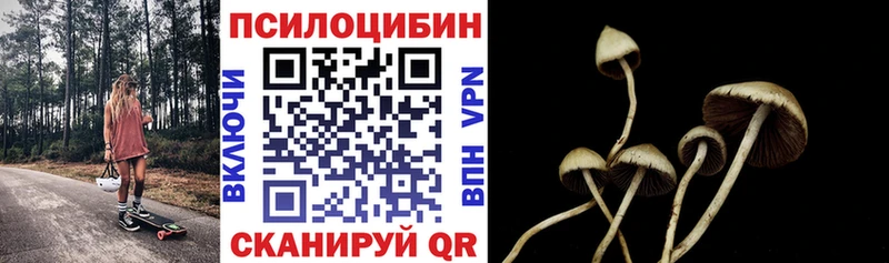 Псилоцибиновые грибы Cubensis Ревда