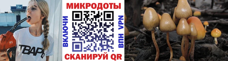 Псилоцибиновые грибы MAGIC MUSHROOMS  Ревда 